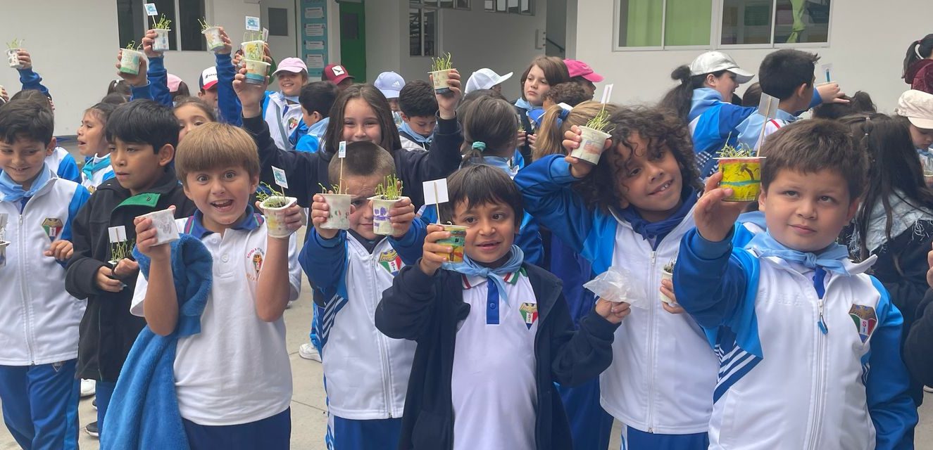 Tecnología en el aula